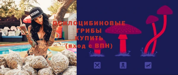 ECSTASY Балахна